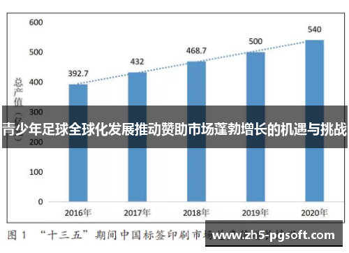 青少年足球全球化发展推动赞助市场蓬勃增长的机遇与挑战