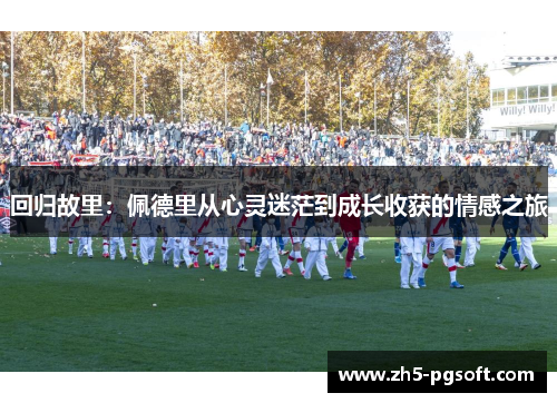 回归故里：佩德里从心灵迷茫到成长收获的情感之旅