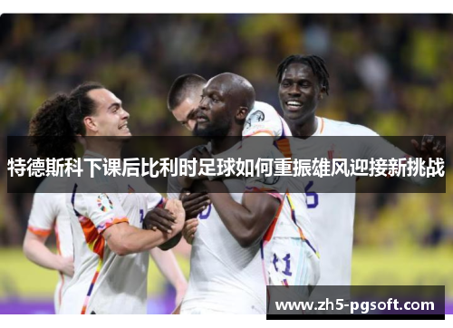 特德斯科下课后比利时足球如何重振雄风迎接新挑战