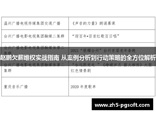 赵鹏欠薪维权实战指南 从案例分析到行动策略的全方位解析