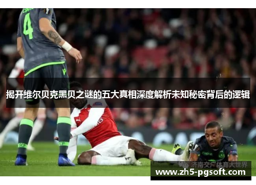 揭开维尔贝克黑贝之谜的五大真相深度解析未知秘密背后的逻辑