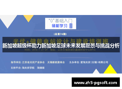 新加坡超级杯助力新加坡足球未来发展愿景与挑战分析